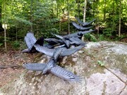 Conspiracy of ravens Haliburton Ontario 2012 seel, bronze